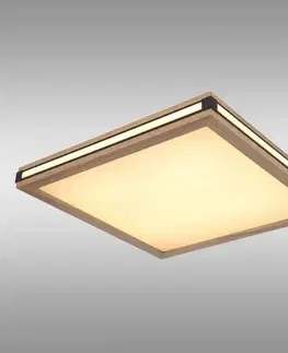 Lampy do obývačky Stropné svietidlo prisadené 41589D2 LED  PL1