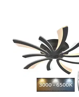 Svietidlá  LED Stmievateľný prisadený luster LED/55W/230V 3000-6500K + DO J3313/S