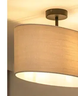 Svietidlá  - Prisadený luster OVAL 1xE27/15W/230V šedá 604512