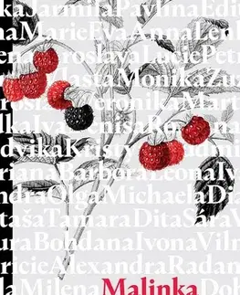 Romantická beletria Malinka - Dita Táborská