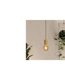Svietidlá Eglo 900801 - Luster na lanku POZUETA 1xE27/40W/230V hnedá 900801