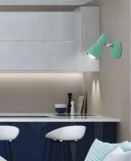 Nástenné svetlá Nástenná lampa 1X40W E14 mätová PICARDO
