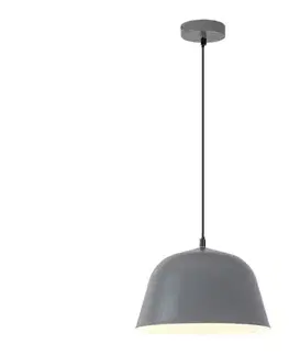 Svietidlá Rabalux 3095 - Luster na lanku MALIA 1xE27/60W/230V 3095