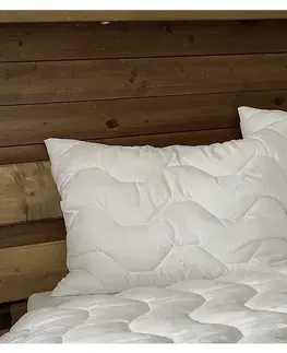 Vankúše Vankúš Aloe Vera LUXURY Microfiber fabric 90x70cm TiaHome