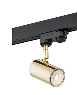 Svietidlá Argon 4328 - Bodové svietidlo do lištového systému HORTA 1xGU10/5W/230V mosadz 4328