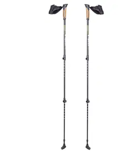Trekingové palice Nordic walking palice inSPORTline Slogen