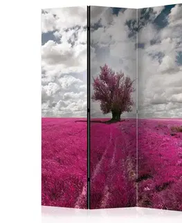 Paravány Paraván Magenta meadow Dekorhome