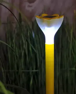 Solárne dekoračné lampy Solárna LED lampa   Ø60x350 cm GLE23642