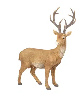 Vianočné dekorácie Figúrka Deer 50x20x54 cm brown