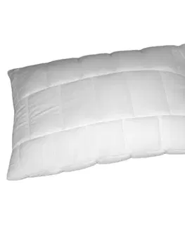Vankúše Vankúš antialergický Deluxe 90x70cm TiaHome