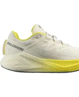 Cesta Salomon Aero Glide 3 M Veľkosť: 42 2/3 EUR