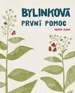 Prírodná lekáreň, bylinky Bylinková první pomoc - Martin Ježek