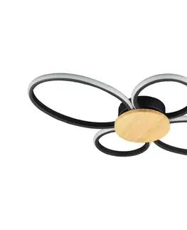 Svietidlá  LED Stropné svietidlo SABINA LED/38W/230V kaučukovník 334350