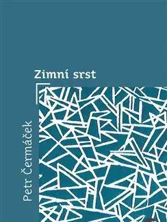 Česká poézia Zimní srst - Petr Čermáček