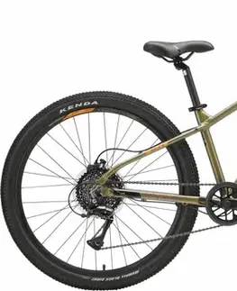 Detské bicykle Genesis Evolution JR26 B Disc Mountainbike 26 Veľkosť: 34