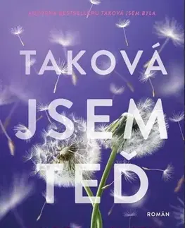 Romantická beletria Taková jsem teď - Amber Smith,Blažena Kukulišová