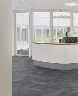 Latitude FORBO Flotex Advance Latitude Grey T302037