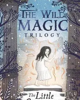 V cudzom jazyku The Little Grey Girl (The Wild Magic Trilogy, Book Two) - Celine Kiernan