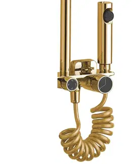 Kúpeľňové batérie REA REA - Sprchový set HELIX zlato REA-P6619