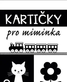 Leporelá, krabičky, puzzle knihy Mozaika - Kartičky (krabička) - Pro miminka