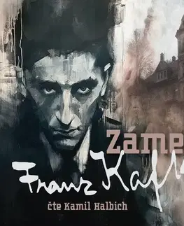 Svetová beletria Radioservis Zámek