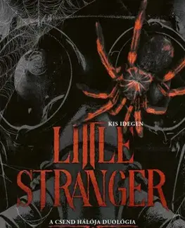 Erotická beletria Little Stranger - Kis Idegen - Leigh Rivers