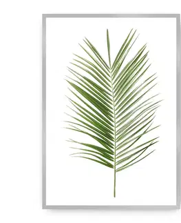 Obrazy Plagát Palm Leaf Green