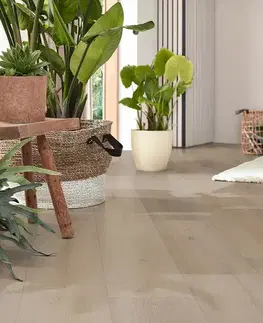 FLOOR FOREVER XL click rigid 0,4 FLOOR FOREVER XL click rigid Dub evropský 9953