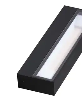 LED osvetlenie Azzardo  - LED Vonkajšie nástenné svietidlo CASOLA LED/12W/230V IP54 