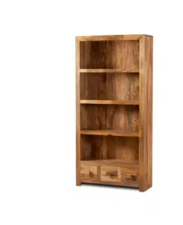 Knižnice Knižnica Hina 90x180x35 z mangového dreva