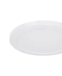 Svietidlá Globo 12379-24W - LED Stropné svietidlo LASSE LED/24W/230V 12379-24W
