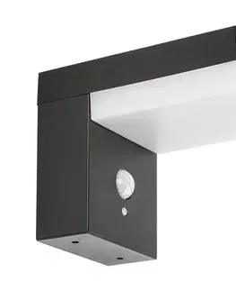 Záhradné lampy Rabalux 77009 - LED Solárne svietidlo so senzorom ZREBAR LED/6W/3,7V IP44 77009