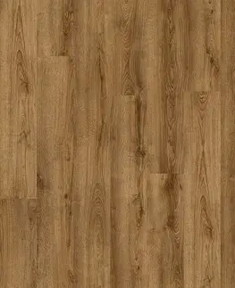 Divino click rigid FLOOR FOREVER Divino click rigid Dub apollon 83853
