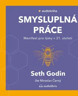 Ekonómia, manažment, marketing Audiolibrix Smysluplná práce