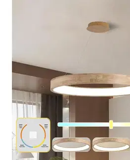 Svietidlá BRILAGI - LED luster na lanku FALCON WOOD LED/60W/230V 3000/4000/6000K 80 cm drevo BRI556