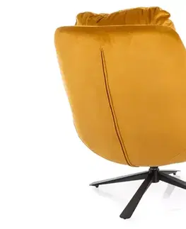 Kreslá Kreslo Vivien Velvet