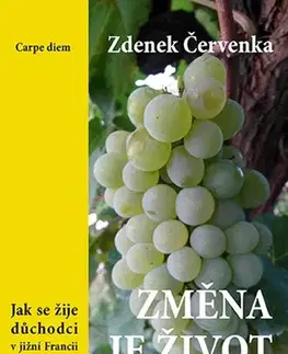 Romantická beletria Změna je život - Zdenek Červenka