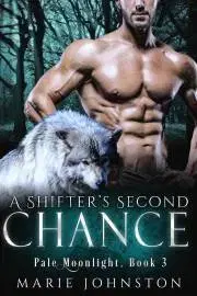 Romantická beletria A Shifter's Second Chance - Johnston Marie