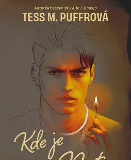 Erotická beletria Kde je Nate - Tess M. Puffrová