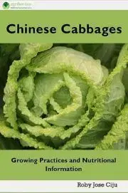 Zdravie, životný štýl - ostatné Chinese Cabbages - Jose Ciiju Roby
