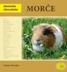 Zvieratá, chovateľstvo - ostatné Morče - Nataša Velenská