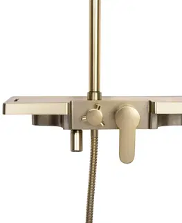 Kúpeľňové batérie REA REA - Sprchový set BRAVO Brush Gold REA-P4121