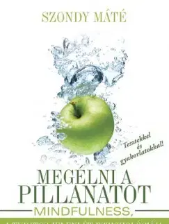 Odborná a náučná literatúra - ostatné Megélni a pillanatot - Máté Szondy