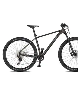 Bicykle Horský bicykel 4EVER Prodigy Race 29" - model 2026 black/hologram - M (17", 165-175 cm)