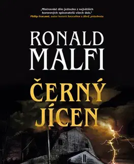 Detektívky, trilery, horory Černý jícen - Ronald Malfi