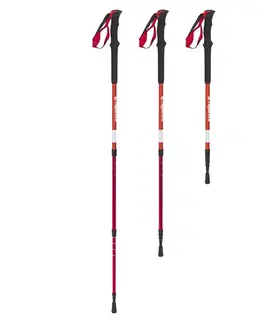 Trekingové palice Trekingové palice inSPORTline Altiplano 100 Pair červené