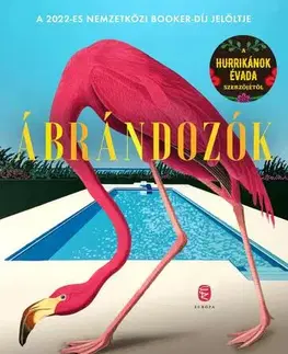 Svetová beletria Ábrándozók - Fernanda Melchorová,Anikó Vajdics