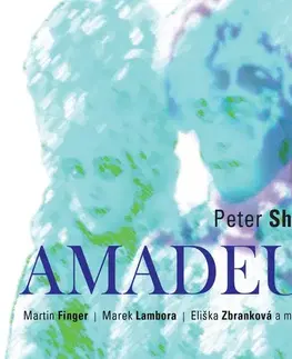 Dráma, divadelné hry, scenáre Radioservis AMADEUS