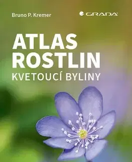 Biológia, fauna a flóra Atlas rostlin. Kvetoucí byliny - Bruno P. Kremer