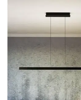 Svietidlá Eglo 390498 - stmievateľný luster na lane CIGGIANO LED/30W/230V čierny + DO 390498